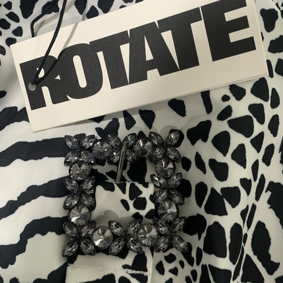 ROTATE by Birger Christensen Tara Taffeta zebra-print minidress - Picture 7 of 13